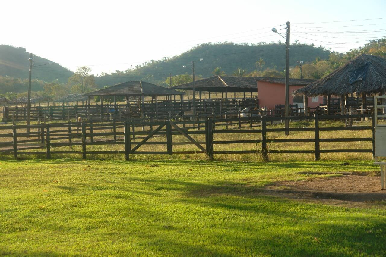 Fazenda para Gado no Município de Jussara - GO 9
