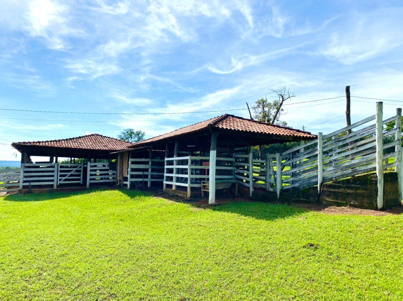Fazenda em Alexânia-GO 6