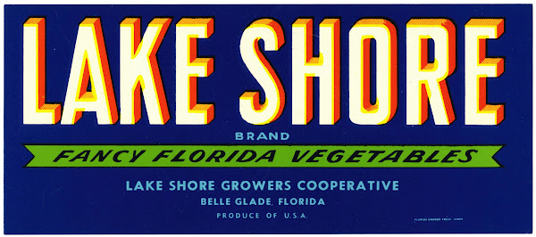 Lake Shore Brand Vegetable Label 1930 1950