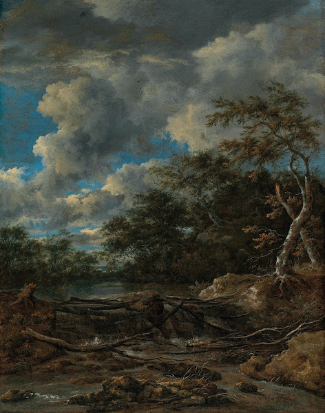 A wooded landscape with a waterfall