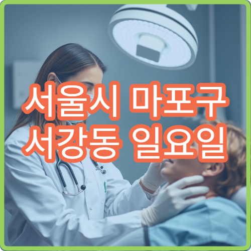 서울시 마포구 서강동 일요일 신경과 두통 어지럼증 진료