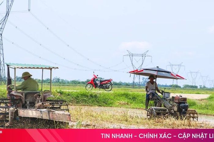 Nông dân Hà Tĩnh tất bật làm đất sản xuất vụ hè thu - Báo Hà Tĩnh