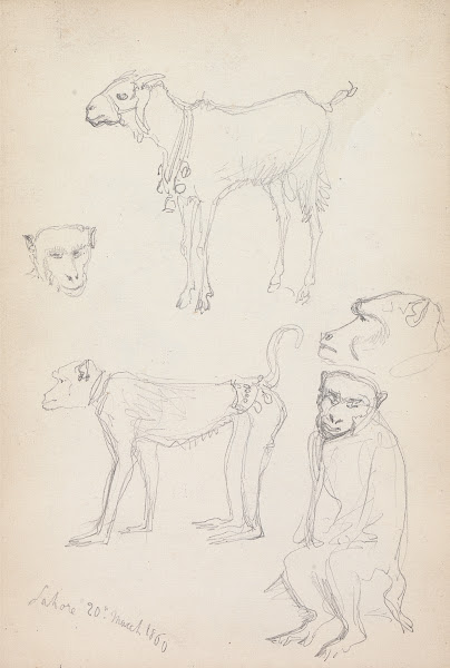 Monkeys and a Goat Lahore 1860