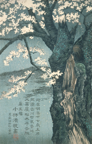Warrior Taira no Tadanori about to Sleep under a Cherry Tree 1884