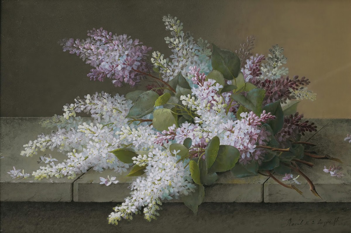 Branch of lilacs
