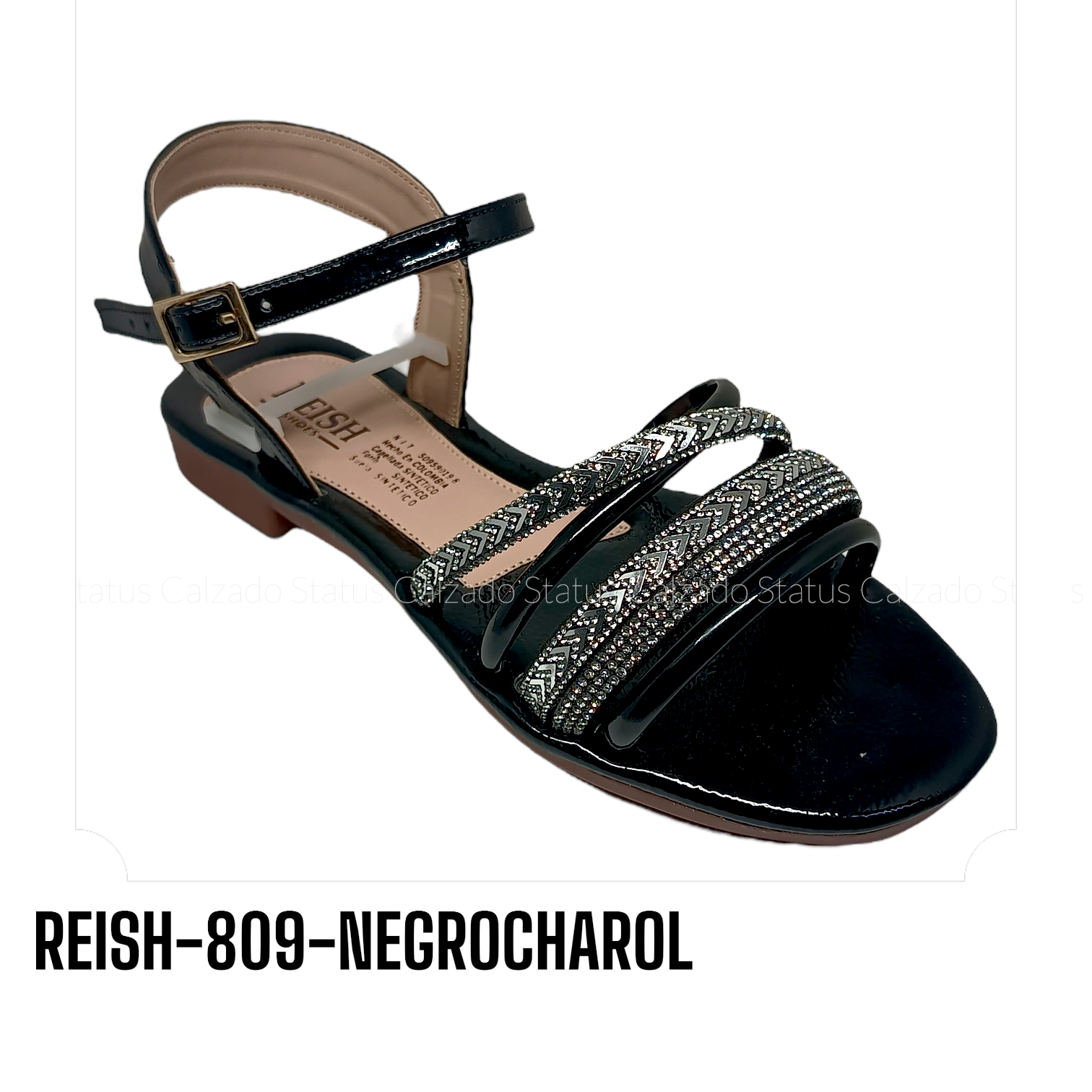 REISH-809-NEGROCHAROL