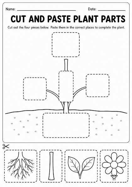 Cut and Paste Plant Parts