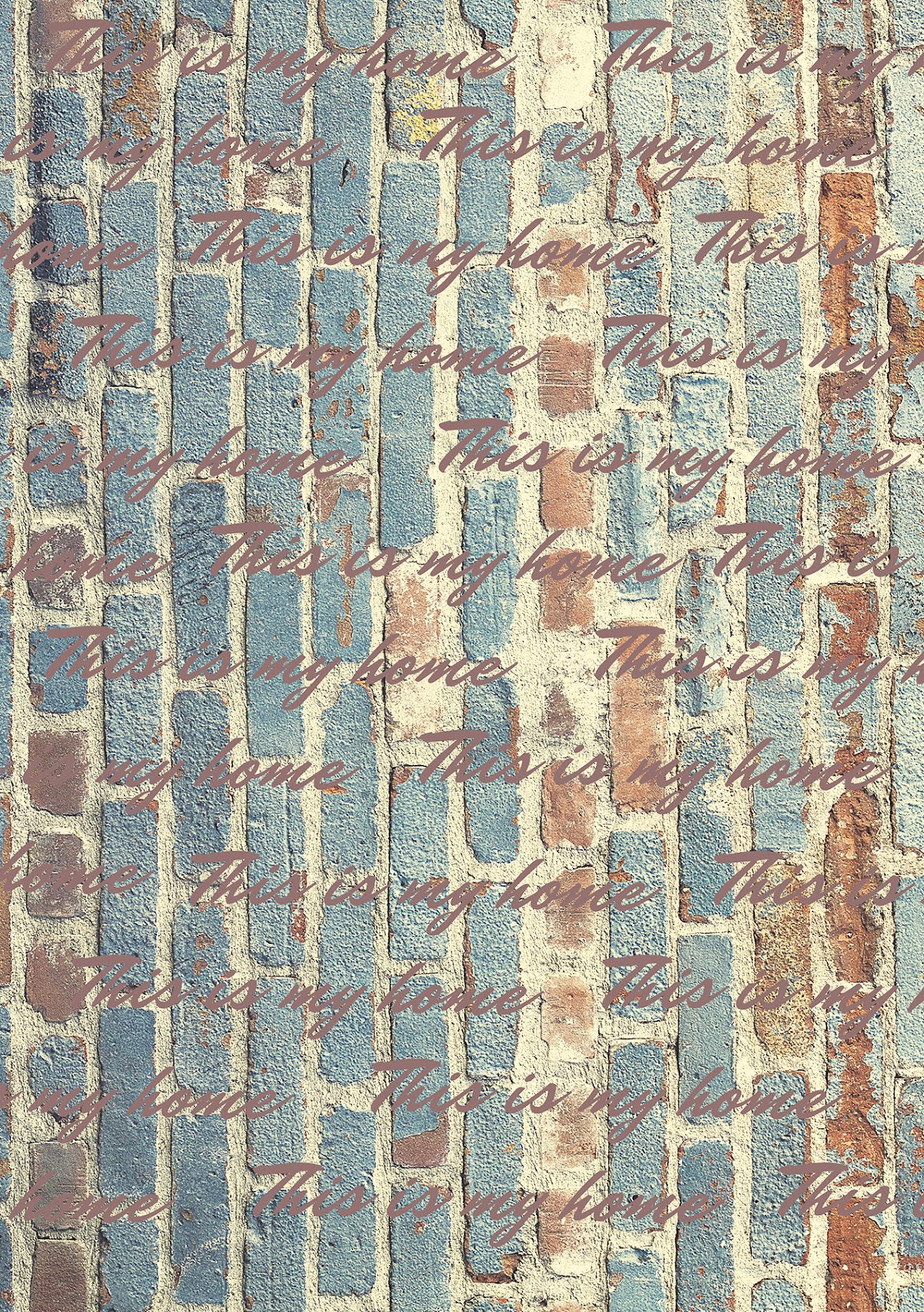 Kilim Collection SHR-226