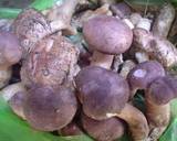 Ảnh Bước 1