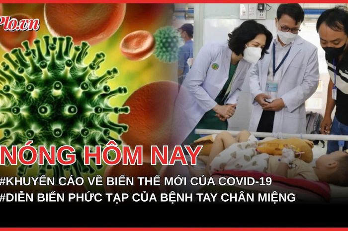 Bộ Y tế khuyến cáo về biến thể mới của COVID-19; Diễn biến phức tạp của bệnh tay chân miệng - Báo Pháp Luật TP.HCM