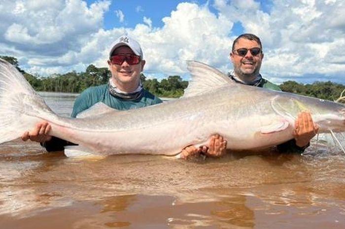 Hai anh em câu được con cá khổng lồ nặng 100kg, dài 2 mét - Tạp chí Người Đưa Tin