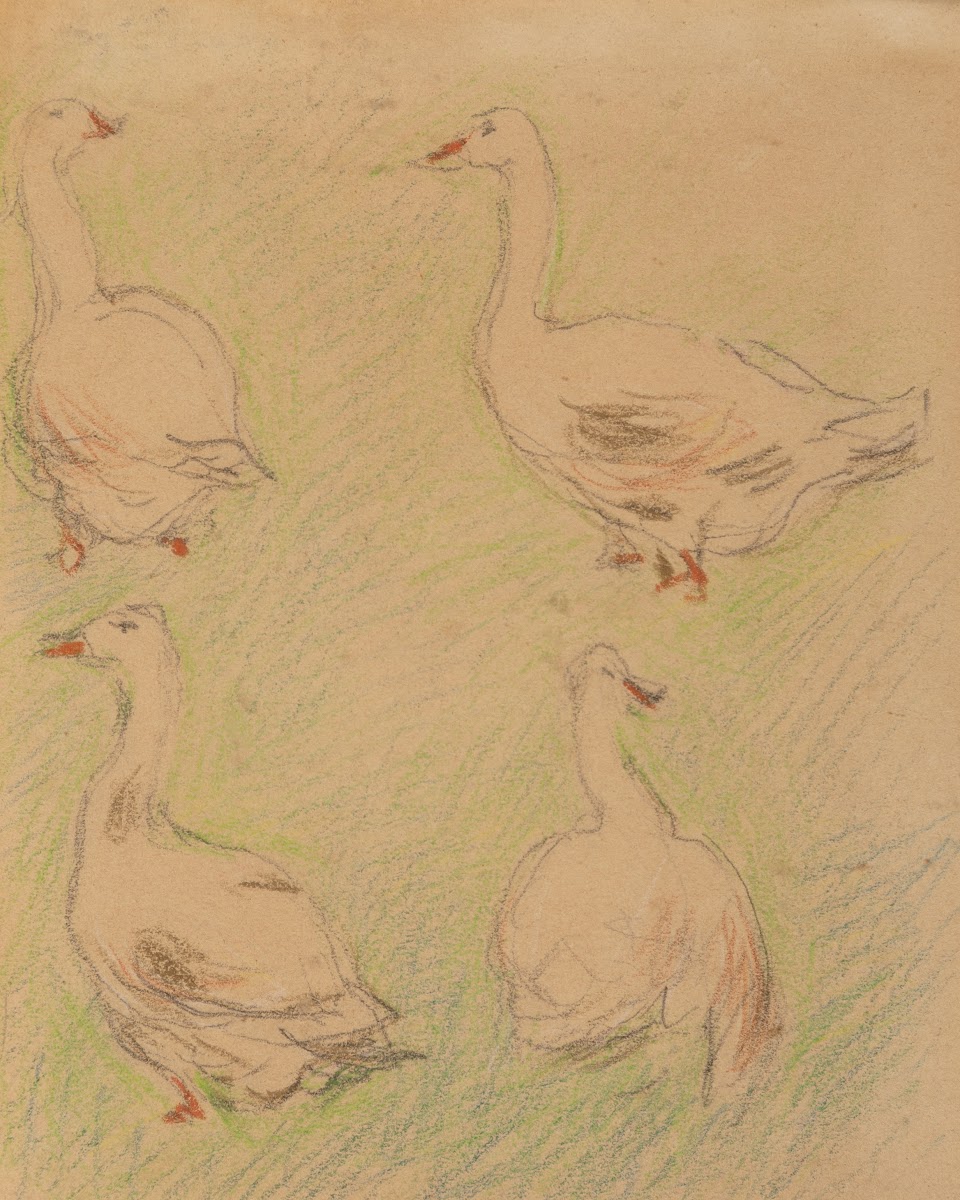 Etude de quatre oies