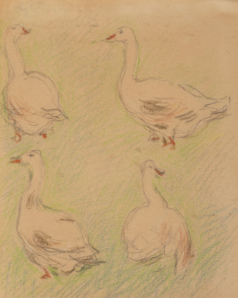 Etude de quatre oies