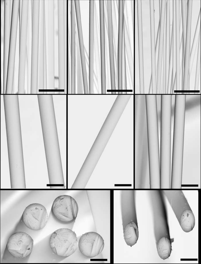 Preparation of a high-performance synthetic pitch from aromatic hydrocarbons containing N/Cl