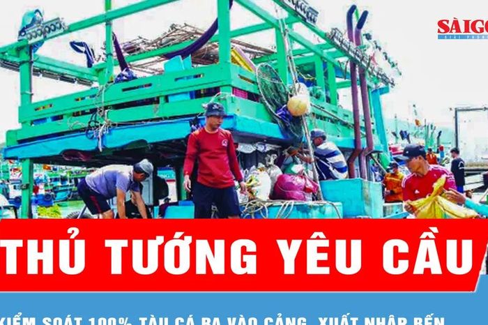 Thủ tướng yêu cầu kiểm soát 100% tàu cá ra vào cảng, xuất nhập bến - Báo Sài Gòn Giải Phóng