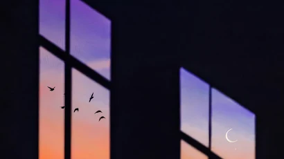 Window, Sunset, Silhouette, Lunar, Birds 4K iPhone Wallpaper Background