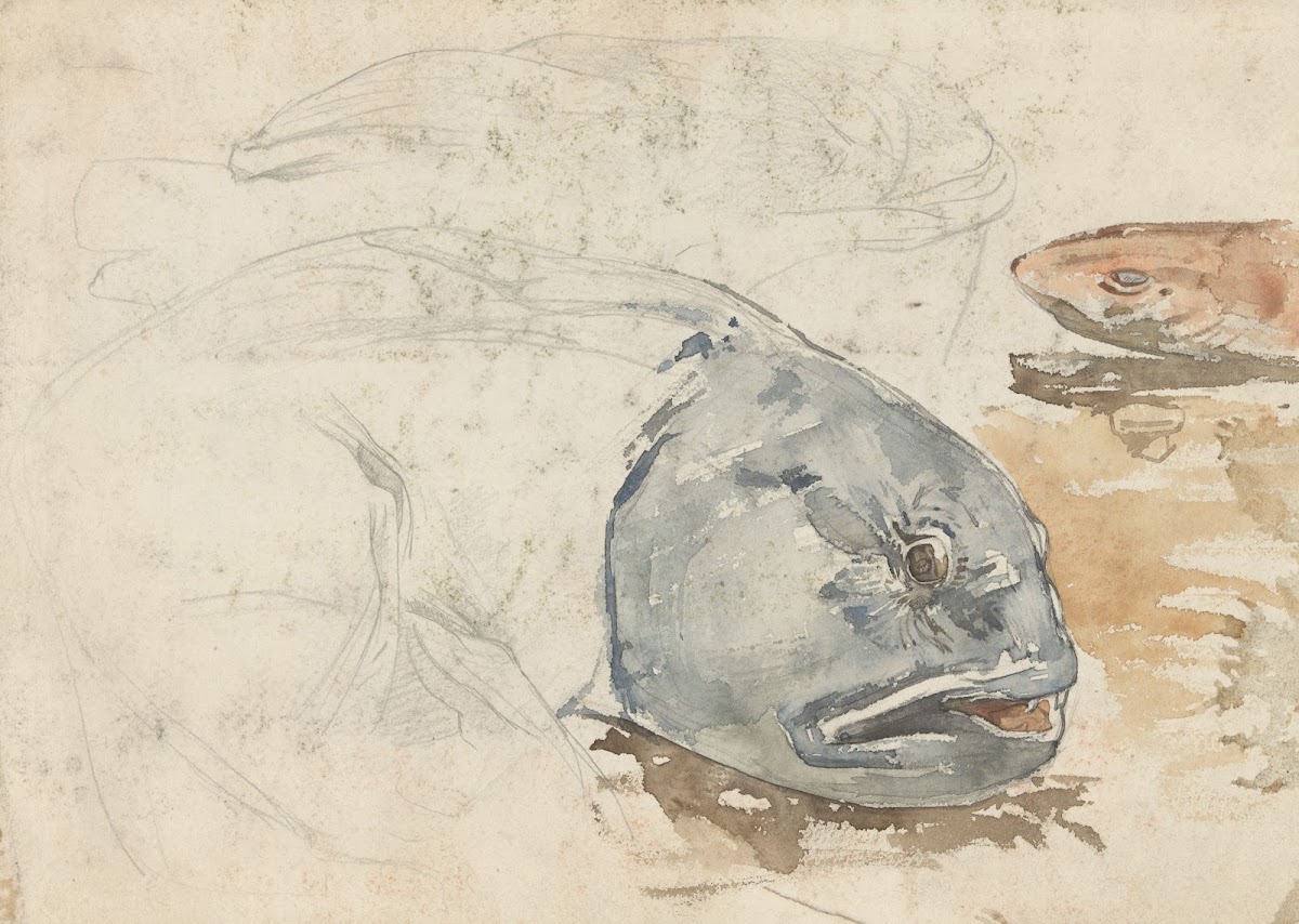 Studies van vissen 1870 1923