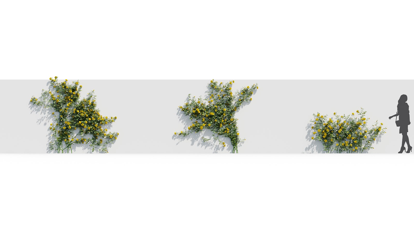 Maxtree - Plant Models Vol.37