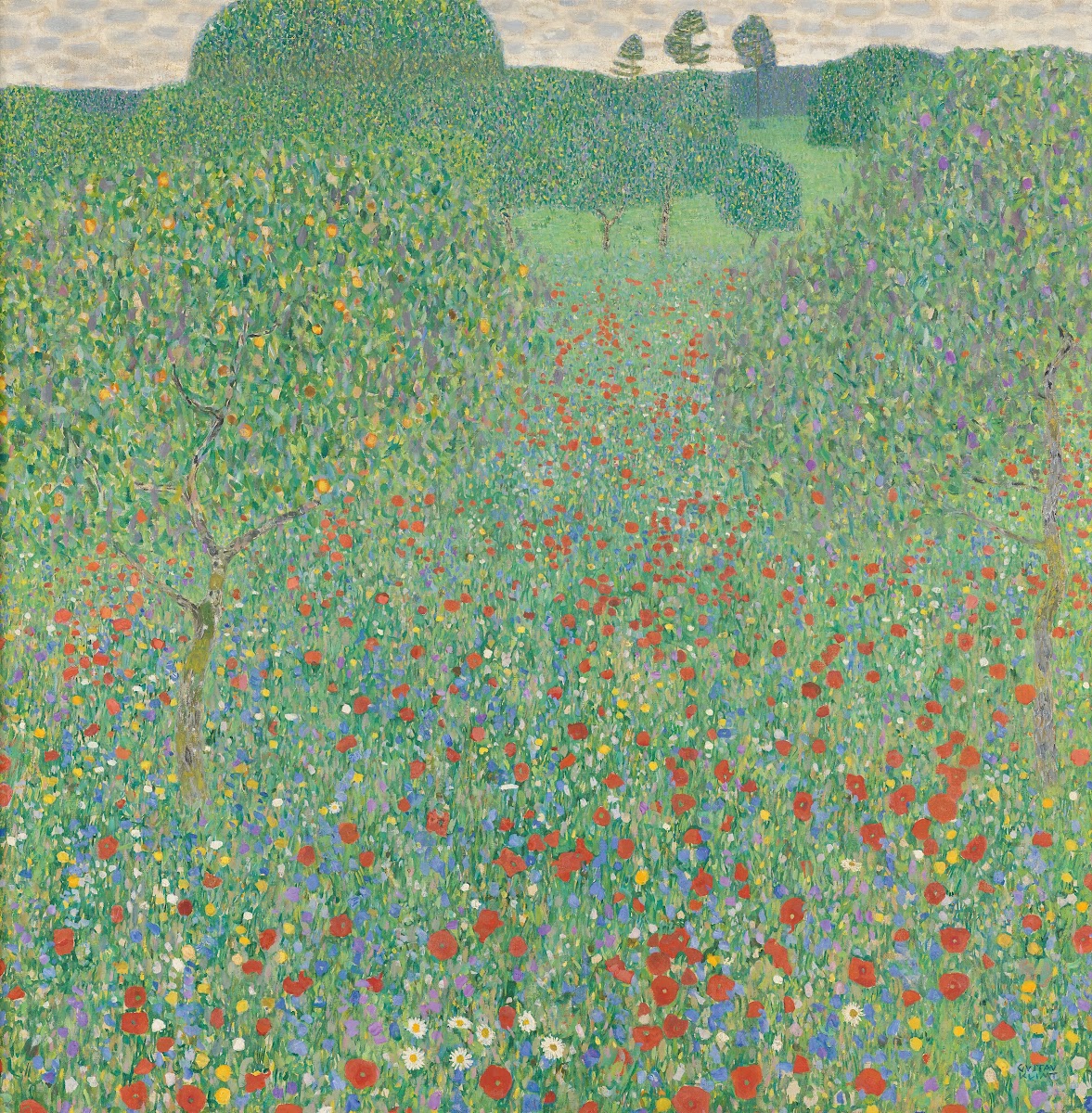 Blühender Mohn Mohnwiese 1907