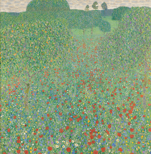 Blühender Mohn Mohnwiese 1907