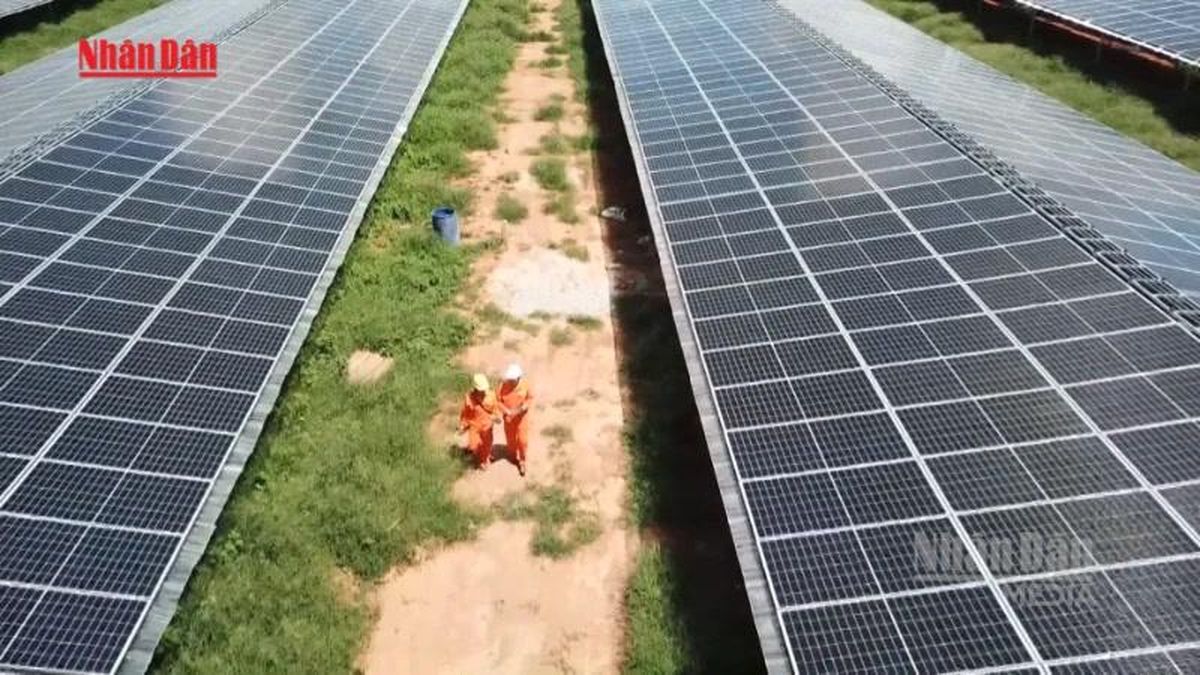 [Video] Doanh nghiệp Việt trong làn sóng đầu tư năng lượng tái tạo - Báo Nhân Dân