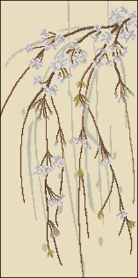 CMP 200622 Pattern