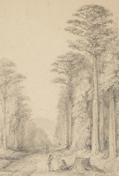 Totara Grove Upper Hutt 1847