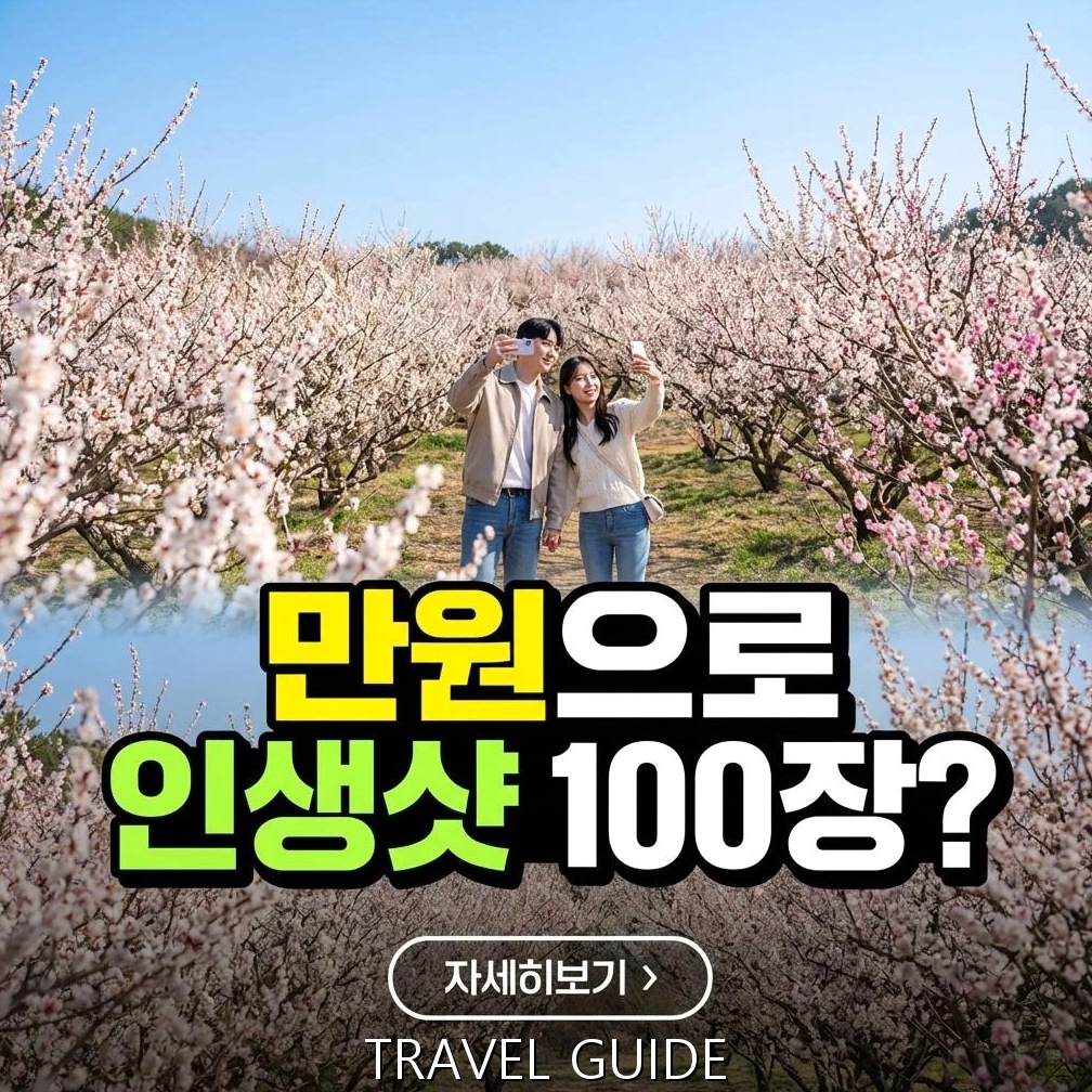 2026 기장매화원 알뜰 여행: 가성비 만끽 최적 가이드