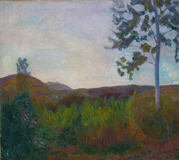From Gausdal 1910