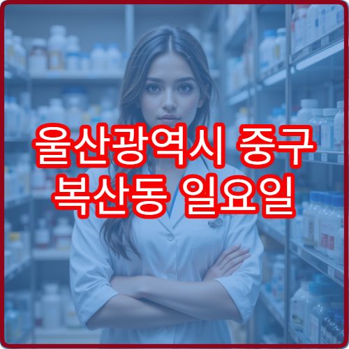 울산광역시 중구 복산동 일요일 당직약국 영업하는 곳 안내 감기 소화제 취급