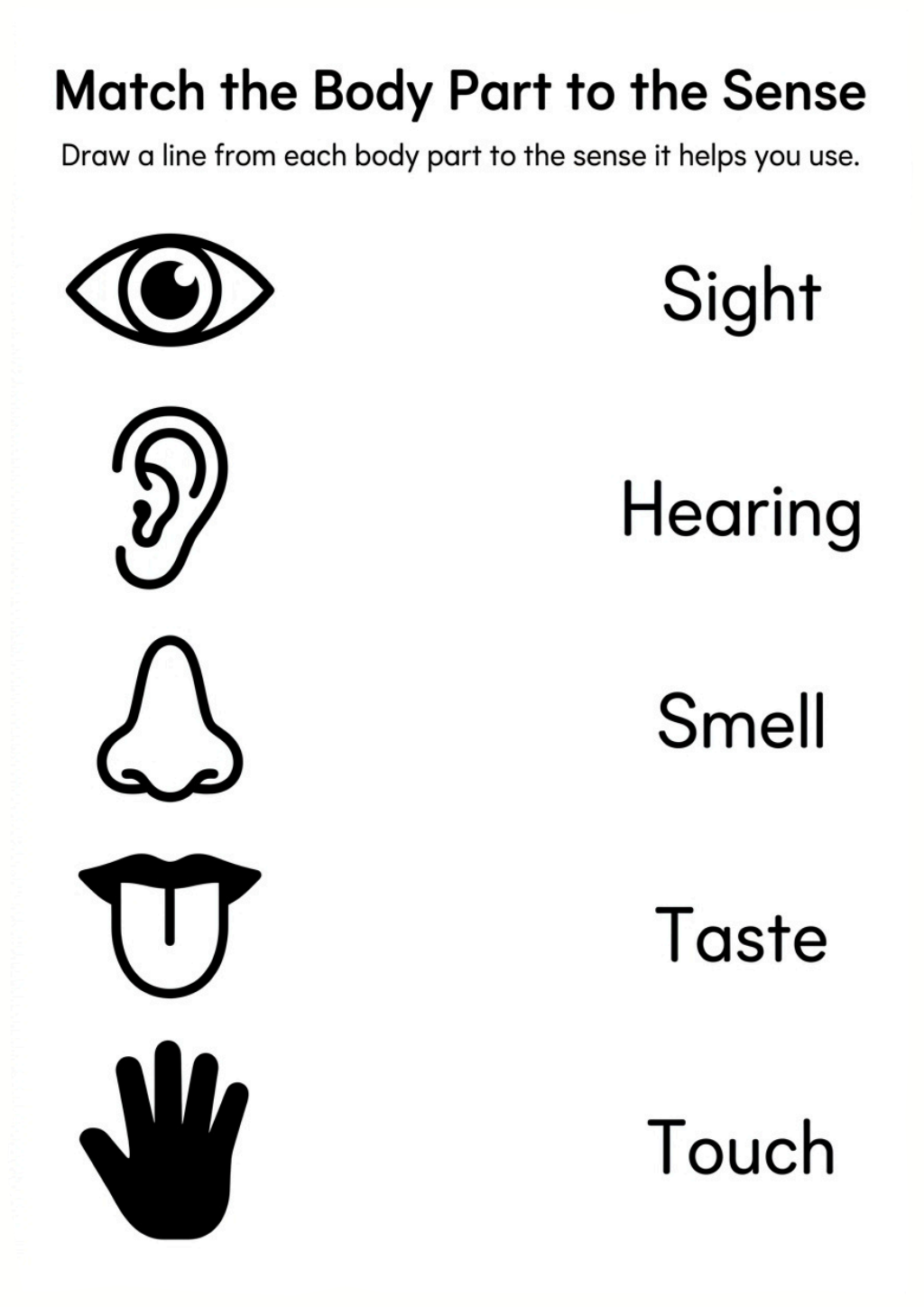 Match the Body Part to the Sense Worksheet