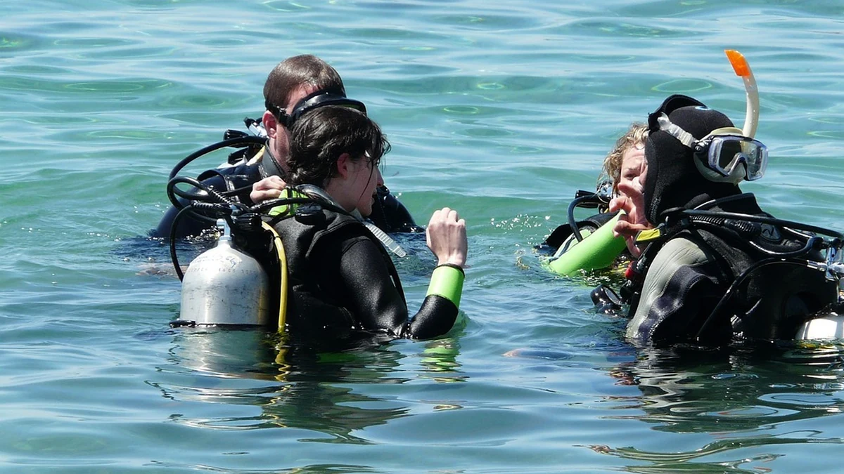 건강보험 환급금 조회 후 돌