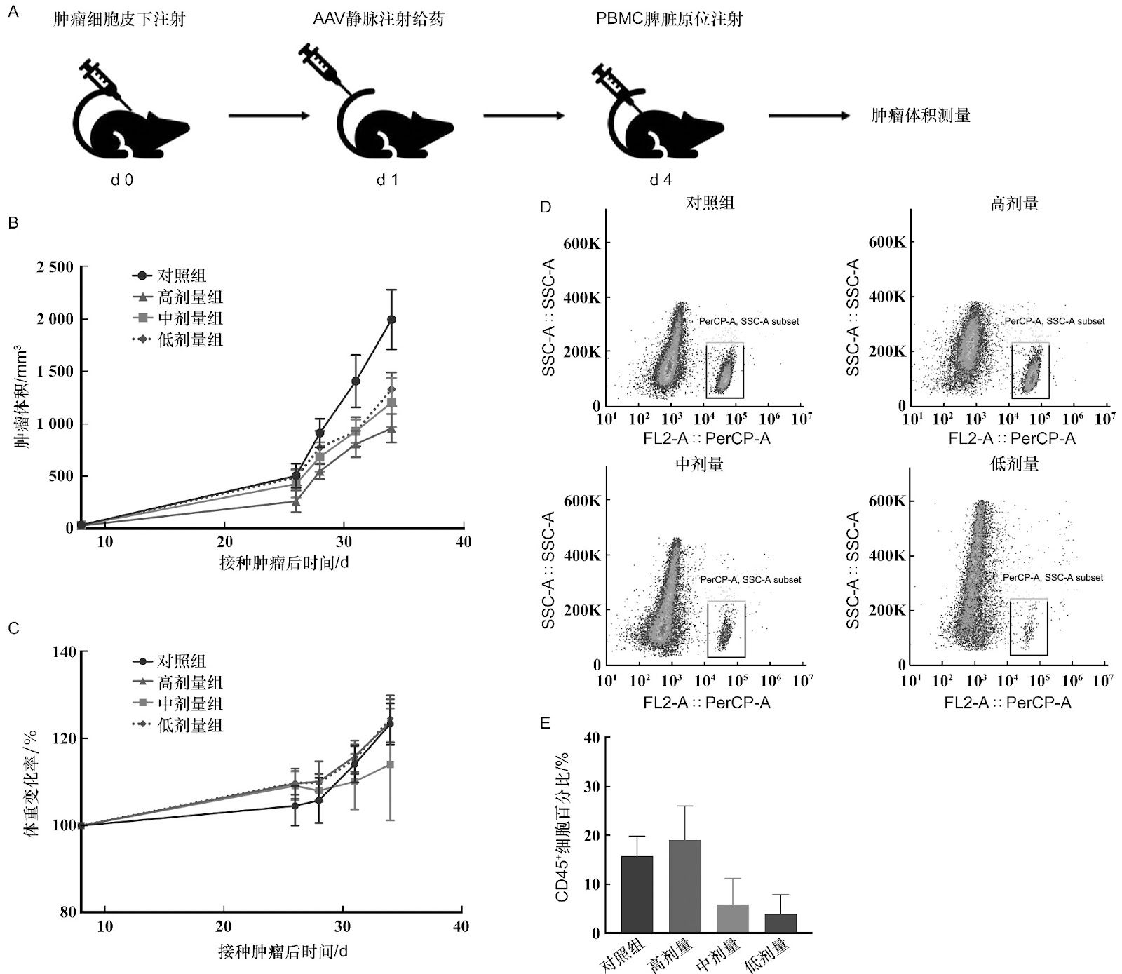 Research on the Mechanism of Action of a Novel Drug for the Treatment of Peripheral Neuropathy