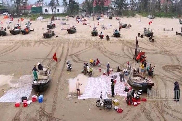Ngư dân Hà Tĩnh trúng đậm hải sản mùa cao điểm - Báo Nhân Dân