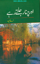 Aur Chanar Julty Rahy by A Hameed PDF