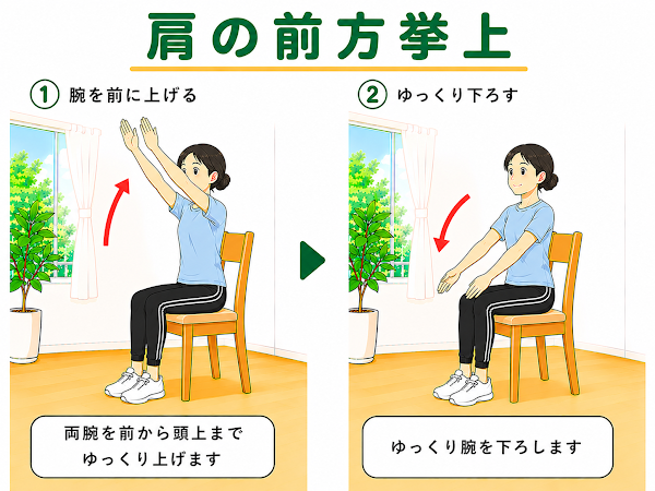 肩の前方挙上