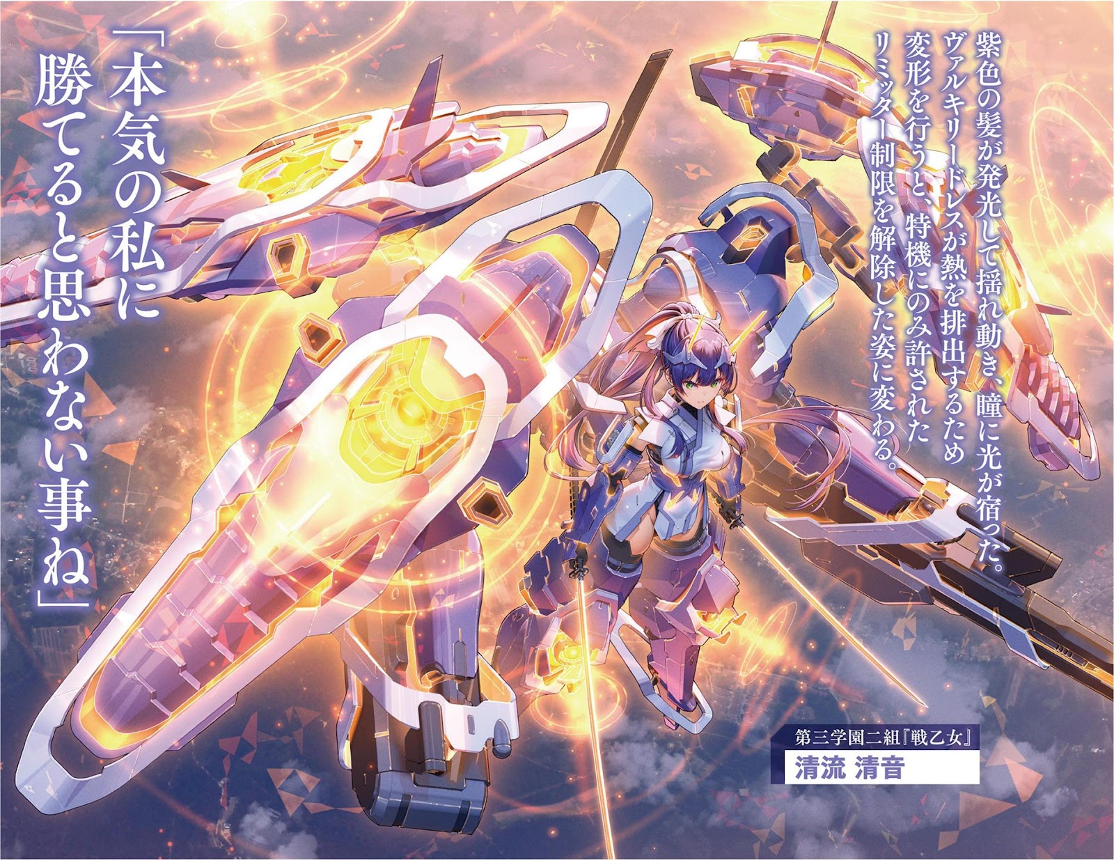 Valkyrie bullet 2_12