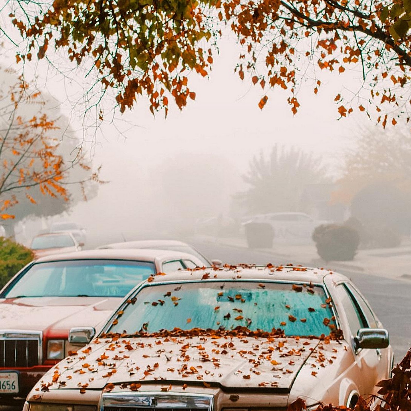 Download Old Sedan In Autumn Fog Full HD iPhone
