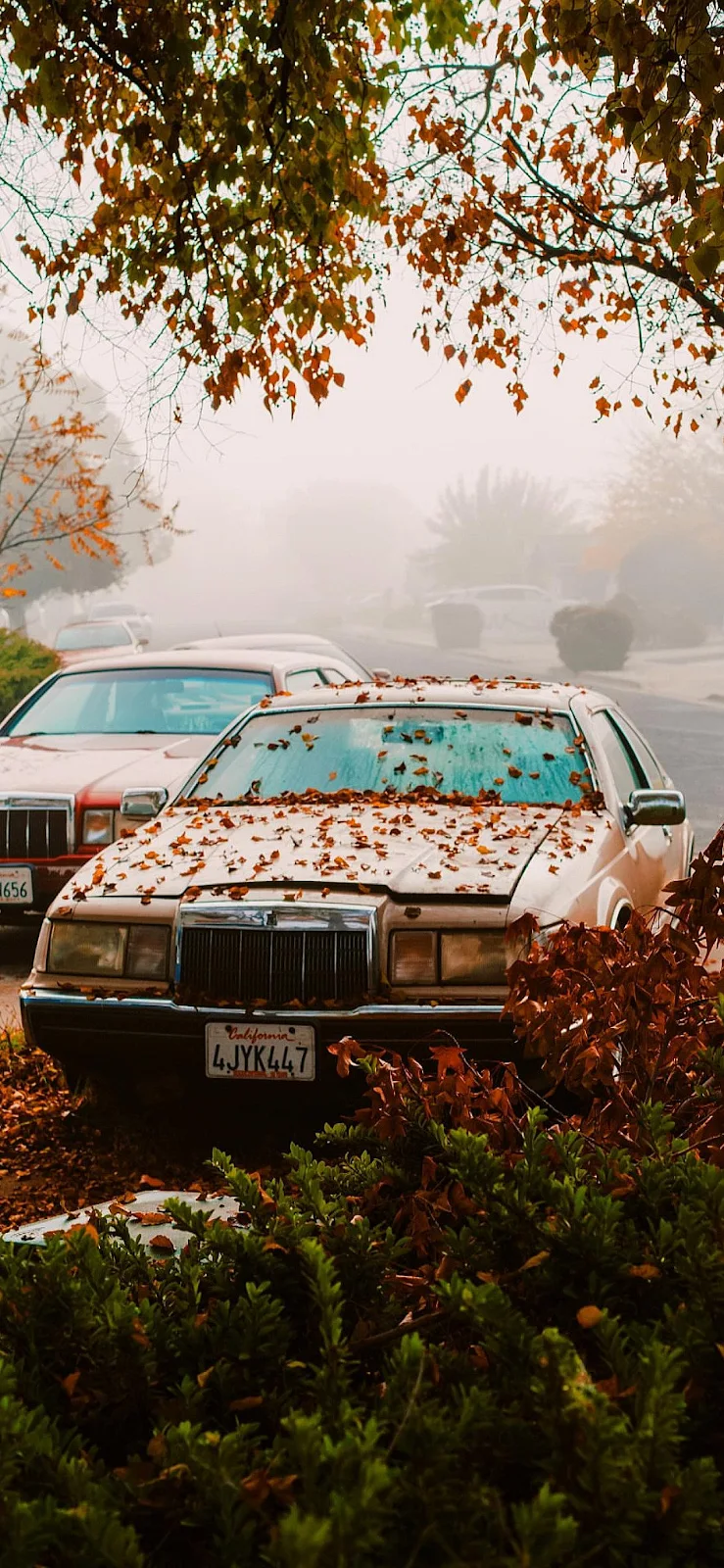 Old Sedan In Autumn Fog - Moody Street Photography Full HD iPhone Wallpaper (1090x2360)