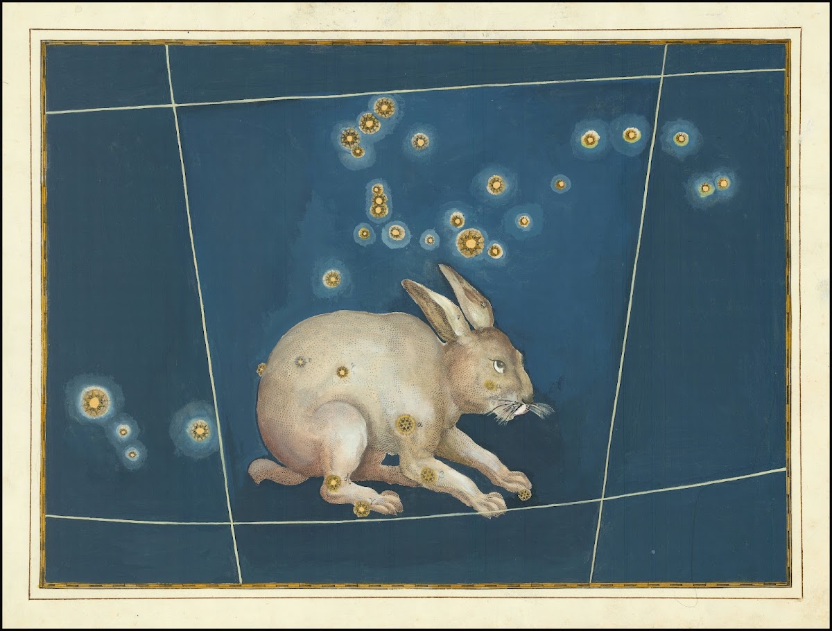 Lepus 1624