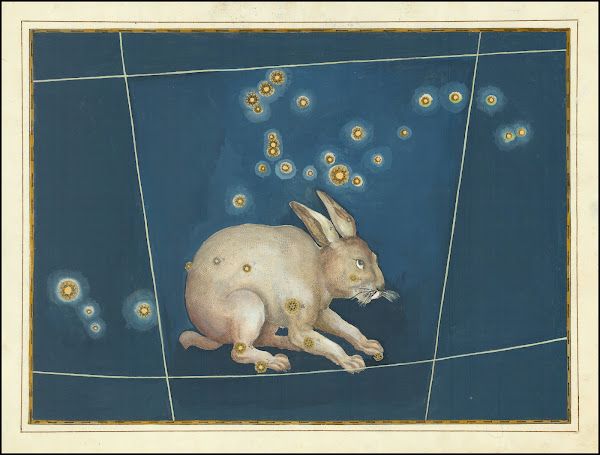 Lepus 1624