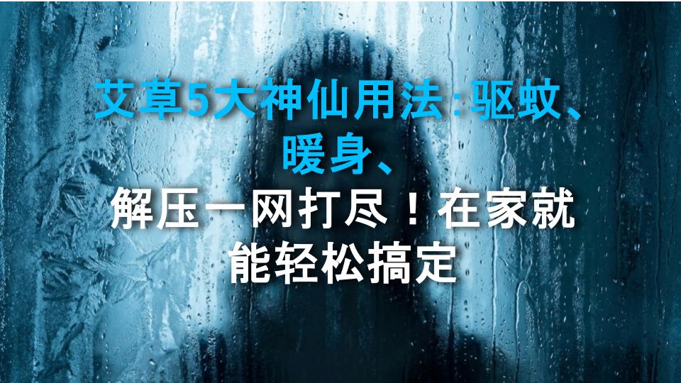 艾草5大神仙用法：驱蚊、暖身、解压一网打尽！在家就能轻松搞定
