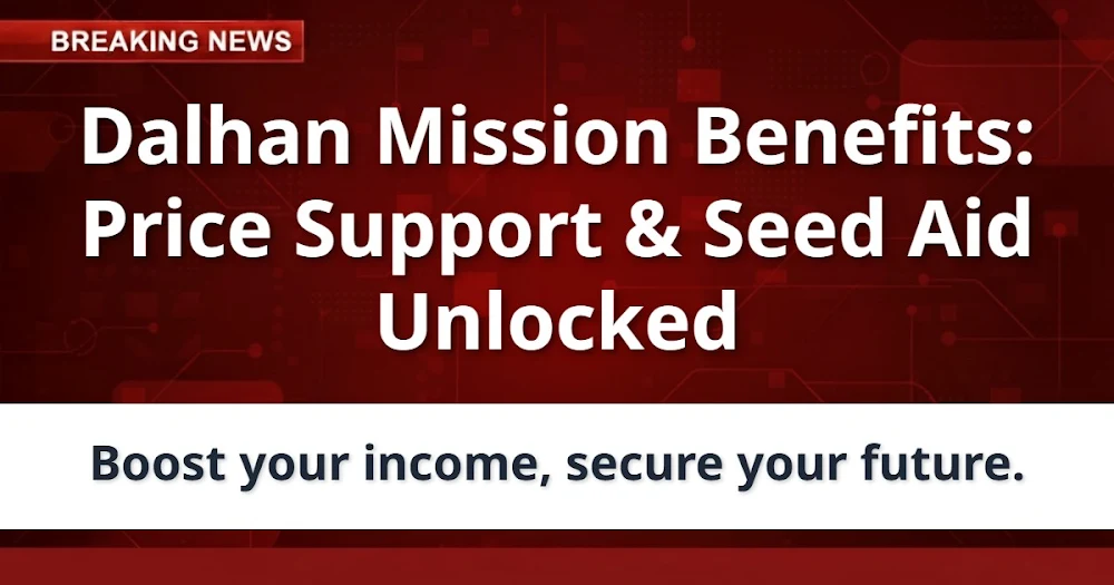 Dalhan Mission Benefits: Price Support & Seed Aid Unlocked