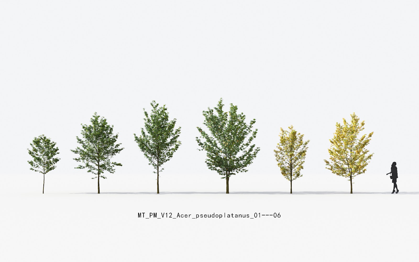 Maxtree - Plant Models Vol.12