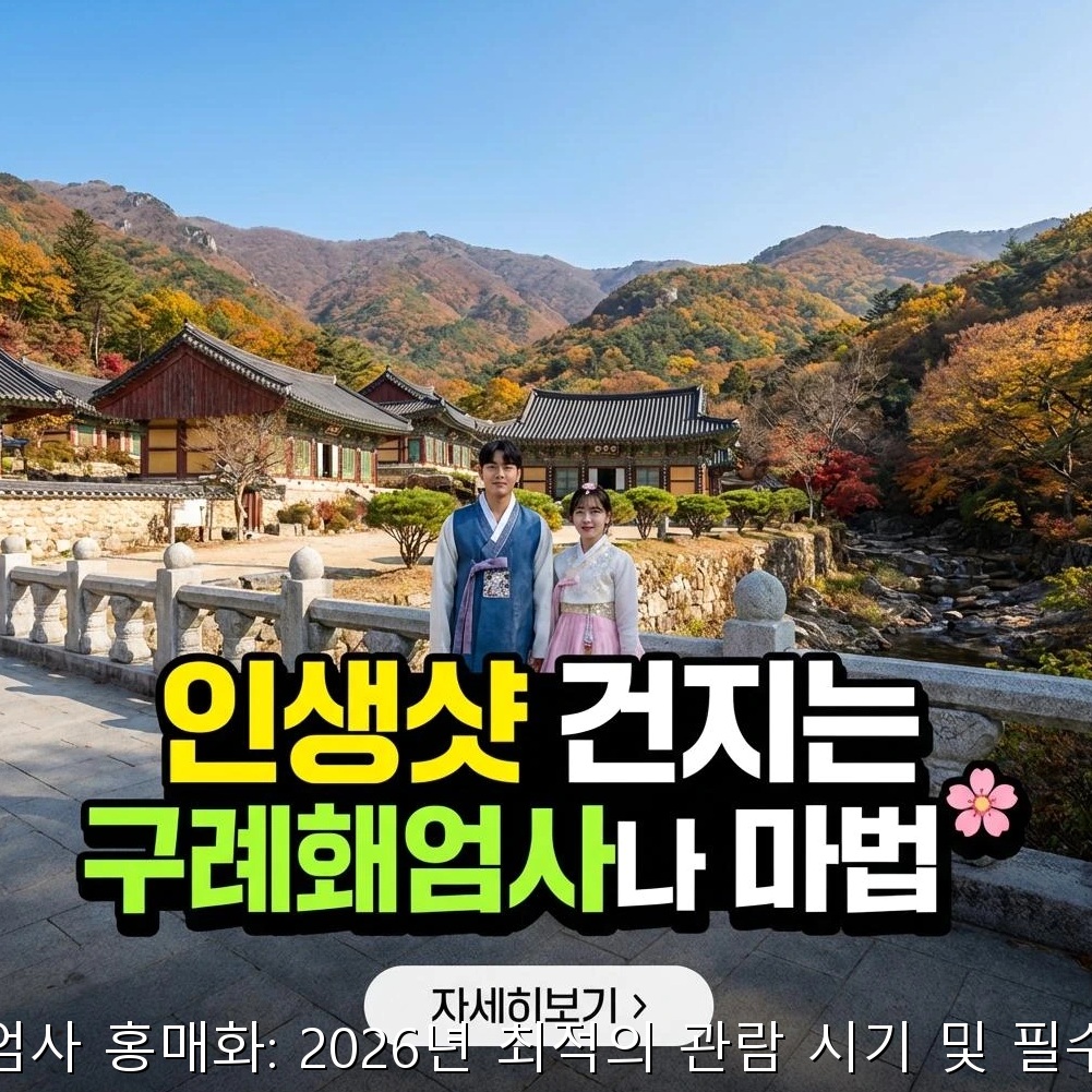 구례 화엄사 홍매화: 2026년 최적 관람 시기, 고급 가이드