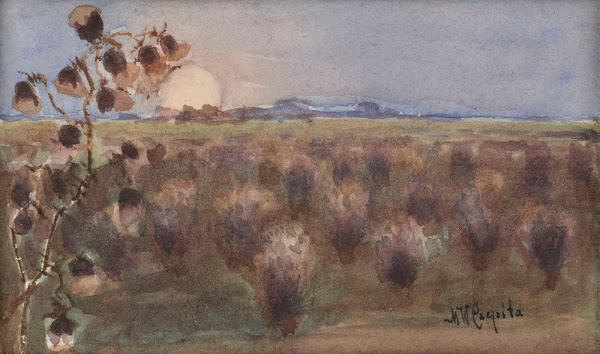 Landscape with meadows