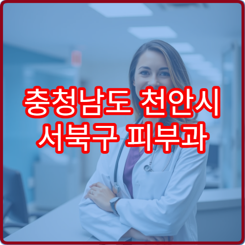 충청남도 천안시 서북구 피부과 설날 명절 진료 병원 운영시간 예약