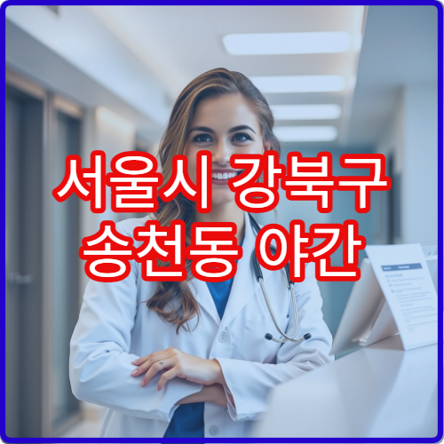 서울시 강북구 송천동 야간 가정의학과 피로·감기 진료 병원