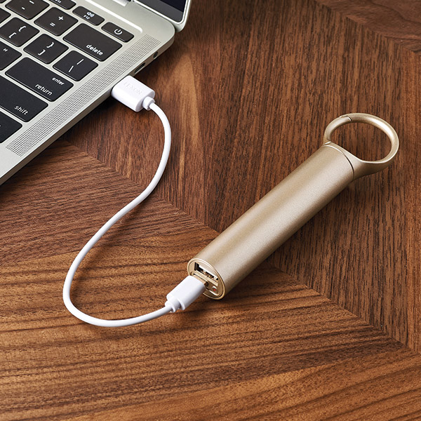 Lexon Nomaday Powerbank