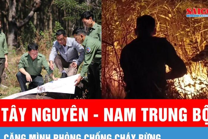 Tây Nguyên - Nam Trung bộ căng mình phòng chống cháy rừng - Báo Sài Gòn Giải Phóng